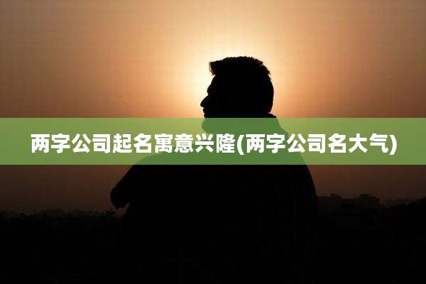 两字公司起名寓意兴隆(两字公司名大气)