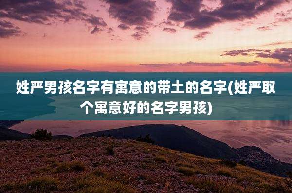 姓严男孩名字有寓意的带土的名字(姓严取个寓意好的名字男孩)