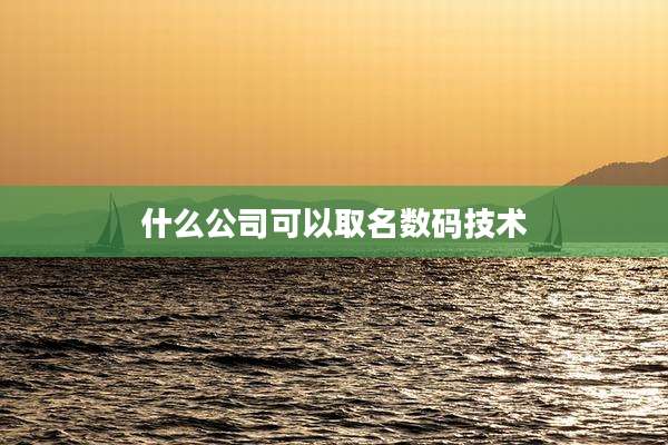 什么公司可以取名数码技术
