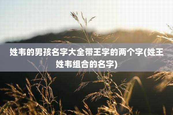姓韦的男孩名字大全带王字的两个字(姓王姓韦组合的名字)
