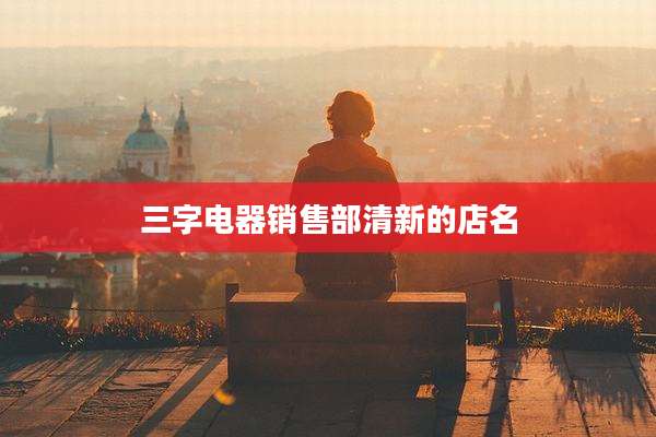 三字电器销售部清新的店名
