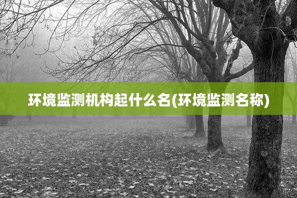 环境监测机构起什么名(环境监测名称)
