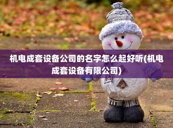 机电成套设备公司的名字怎么起好听(机电成套设备有限公司)