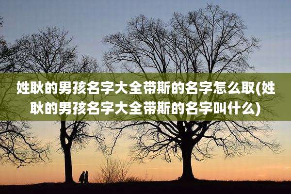 姓耿的男孩名字大全带斯的名字怎么取(姓耿的男孩名字大全带斯的名字叫什么)