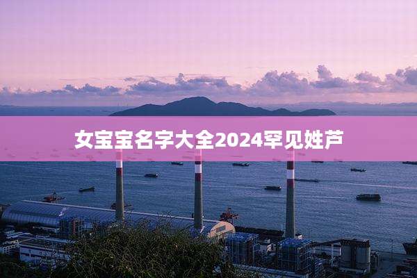 女宝宝名字大全2024罕见姓芦