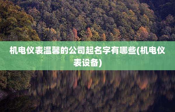 机电仪表温馨的公司起名字有哪些(机电仪表设备)