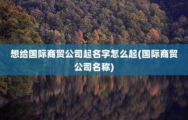 想给国际商贸公司起名字怎么起(国际商贸公司名称)