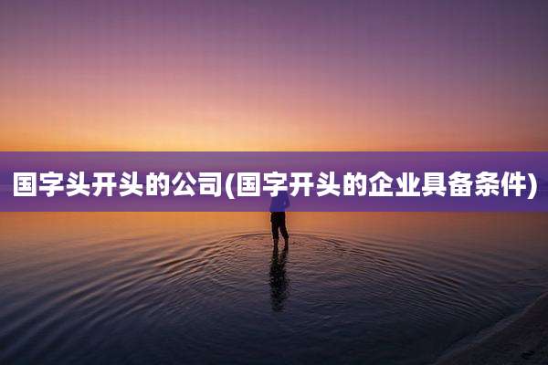国字头开头的公司(国字开头的企业具备条件)