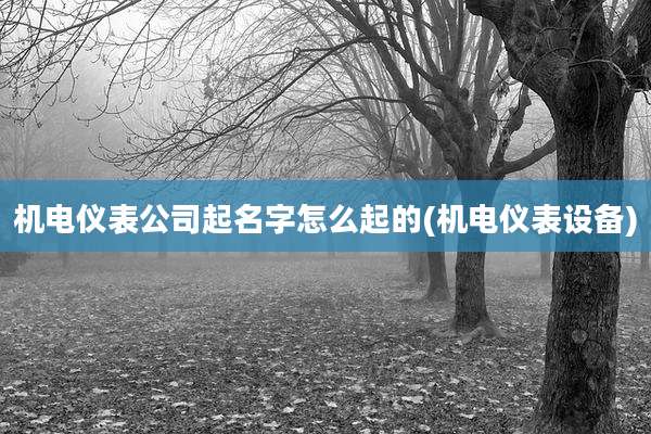 机电仪表公司起名字怎么起的(机电仪表设备)
