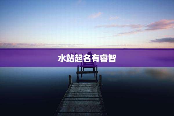 水站起名有睿智