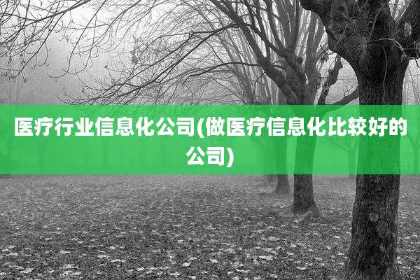 医疗行业信息化公司(做医疗信息化比较好的公司)