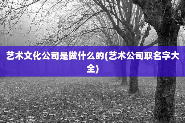 艺术文化公司是做什么的(艺术公司取名字大全)