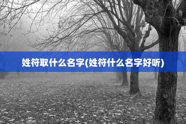 姓符取什么名字(姓符什么名字好听)
