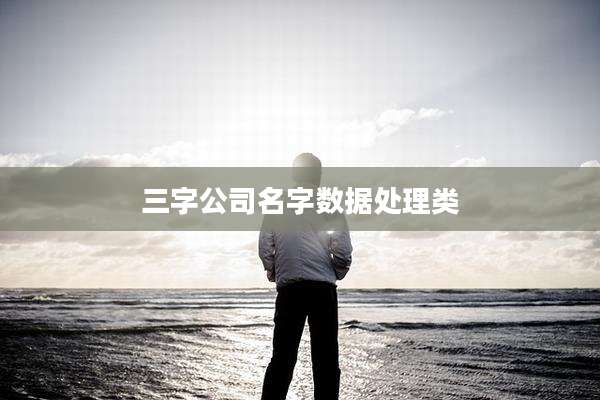 三字公司名字数据处理类