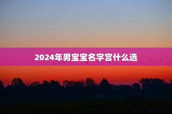2024年男宝宝名字宫什么选