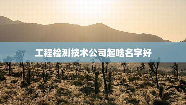 工程检测技术公司起啥名字好