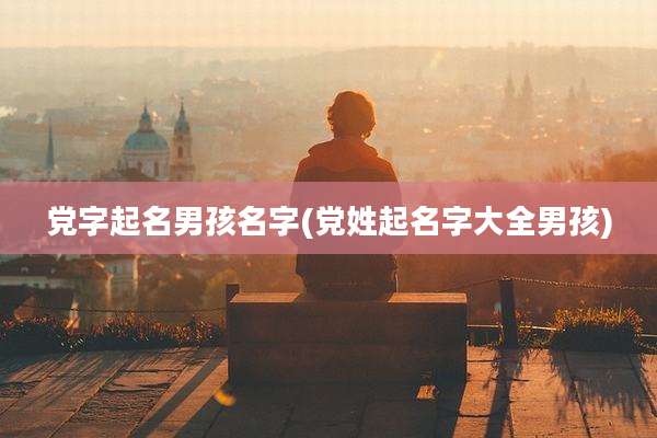 党字起名男孩名字(党姓起名字大全男孩)