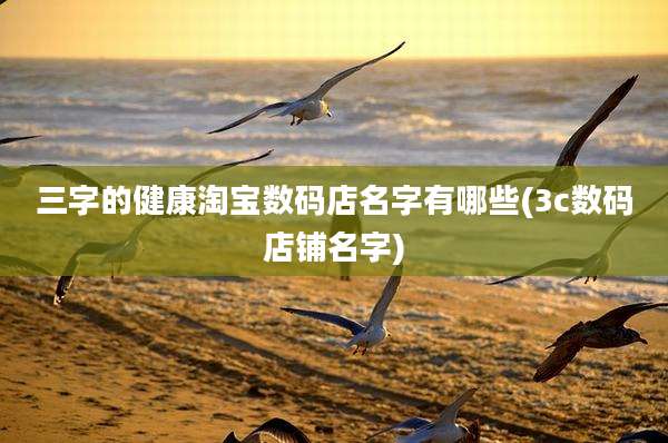 三字的健康淘宝数码店名字有哪些(3c数码店铺名字)