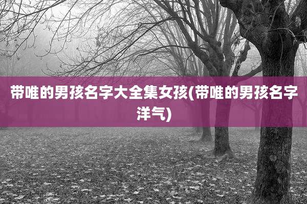 带唯的男孩名字大全集女孩(带唯的男孩名字洋气)