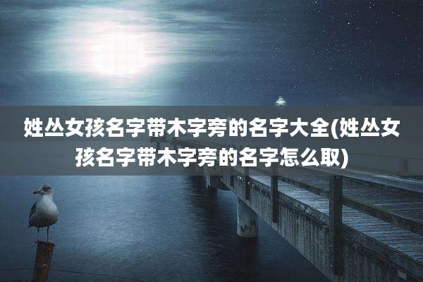 姓丛女孩名字带木字旁的名字大全(姓丛女孩名字带木字旁的名字怎么取)