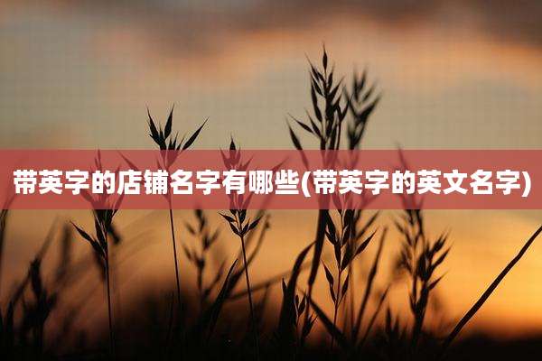 带英字的店铺名字有哪些(带英字的英文名字)