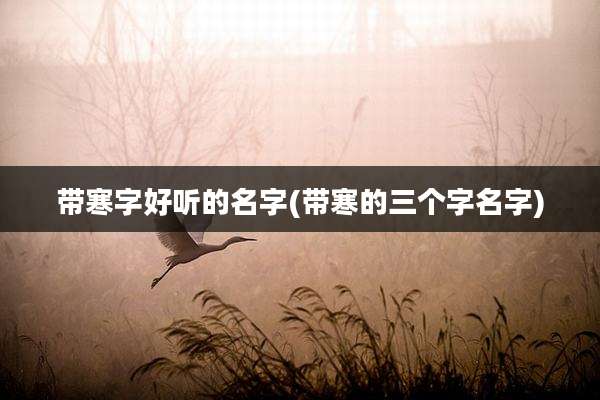 带寒字好听的名字(带寒的三个字名字)