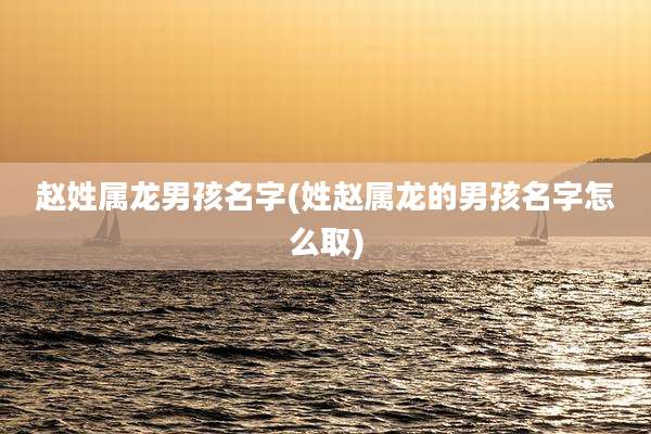 赵姓属龙男孩名字(姓赵属龙的男孩名字怎么取)