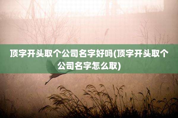顶字开头取个公司名字好吗(顶字开头取个公司名字怎么取)