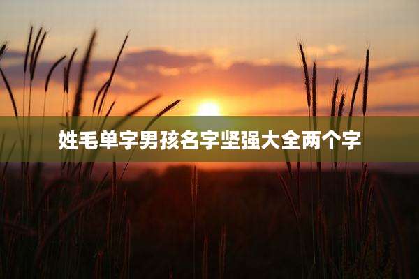姓毛单字男孩名字坚强大全两个字