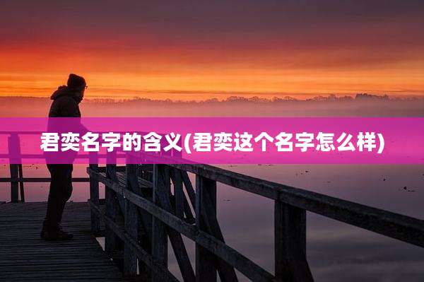 君奕名字的含义(君奕这个名字怎么样)