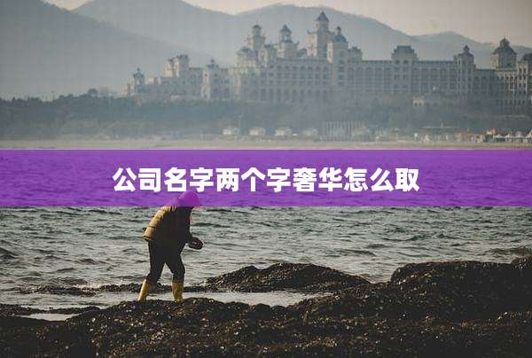 公司名字两个字奢华怎么取