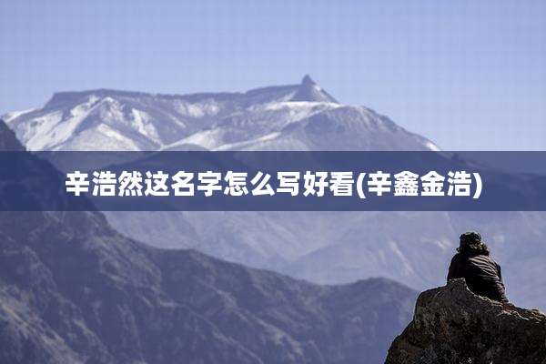 辛浩然这名字怎么写好看(辛鑫金浩)