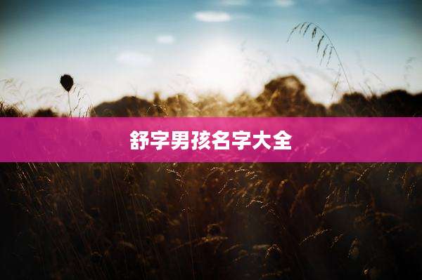 舒字男孩名字大全
