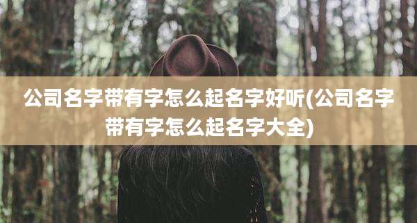 公司名字带有字怎么起名字好听(公司名字带有字怎么起名字大全)
