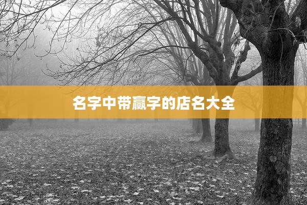 名字中带赢字的店名大全