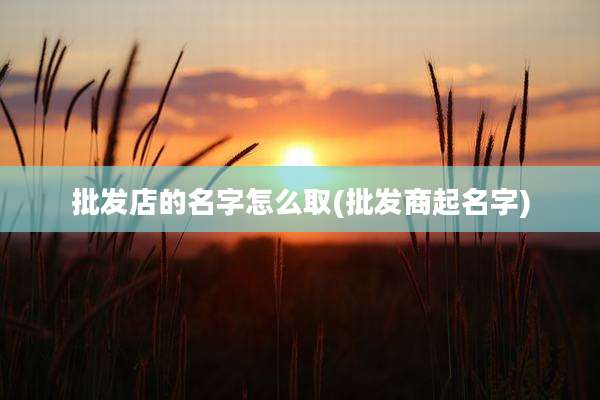 批发店的名字怎么取(批发商起名字)
