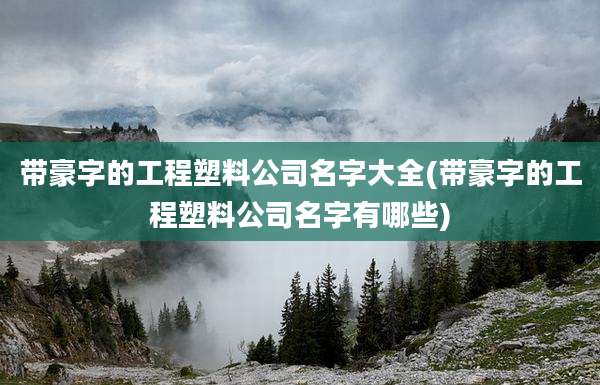 带豪字的工程塑料公司名字大全(带豪字的工程塑料公司名字有哪些)