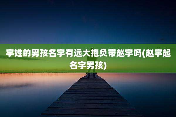 宇姓的男孩名字有远大抱负带赵字吗(赵宇起名字男孩)