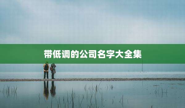 带低调的公司名字大全集