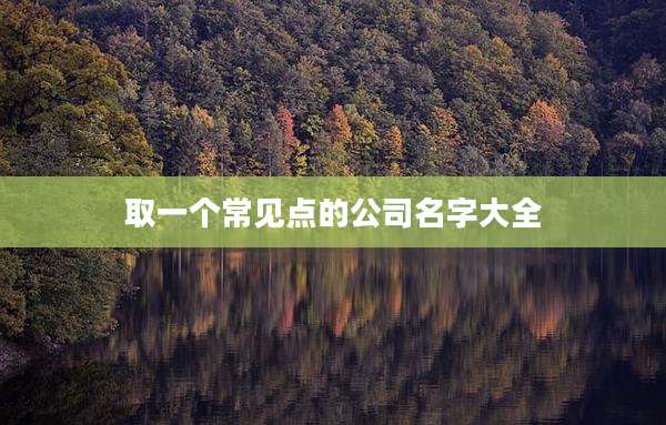 取一个常见点的公司名字大全