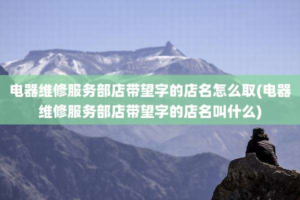 电器维修服务部店带望字的店名怎么取(电器维修服务部店带望字的店名叫什么)