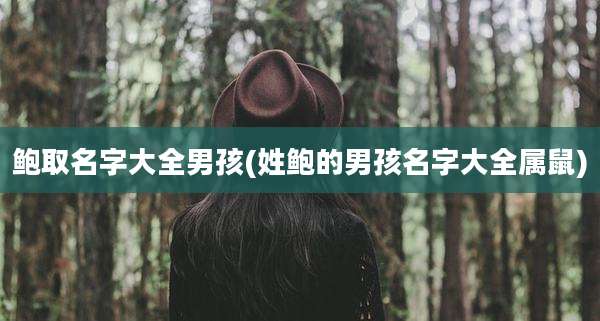 鲍取名字大全男孩(姓鲍的男孩名字大全属鼠)