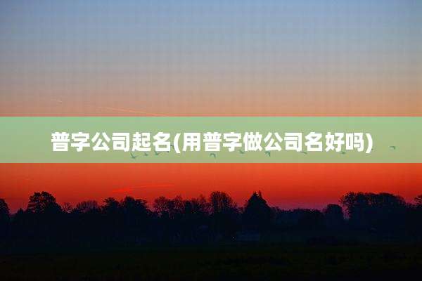 普字公司起名(用普字做公司名好吗)