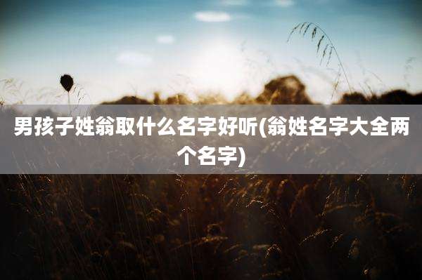 男孩子姓翁取什么名字好听(翁姓名字大全两个名字)