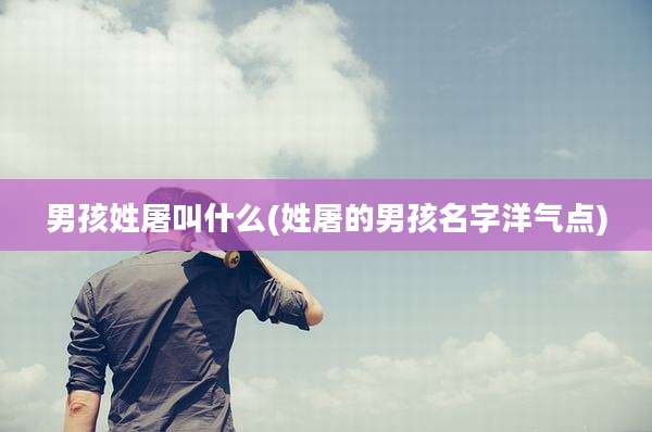 男孩姓屠叫什么(姓屠的男孩名字洋气点)
