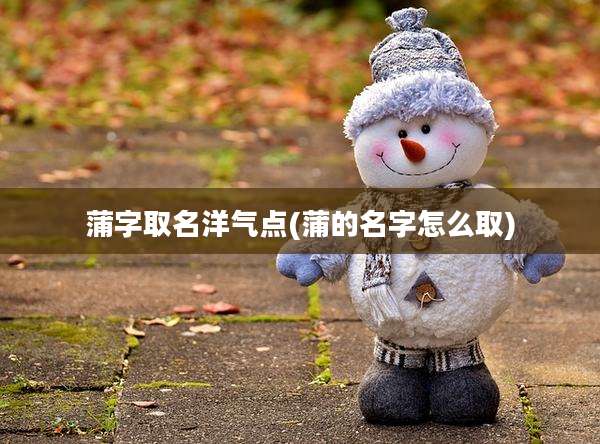 蒲字取名洋气点(蒲的名字怎么取)