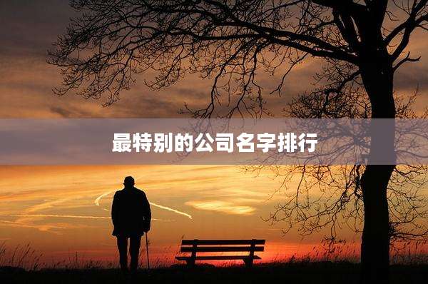最特别的公司名字排行
