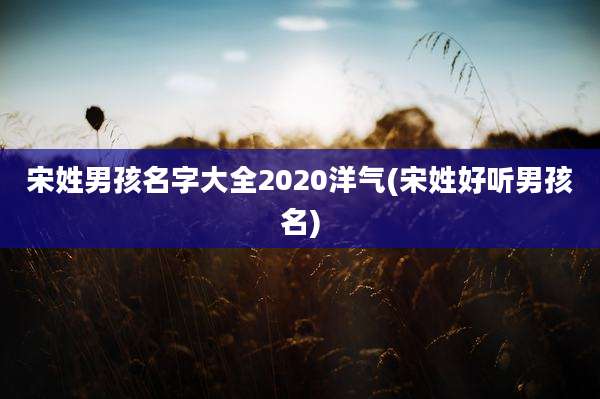 宋姓男孩名字大全2020洋气(宋姓好听男孩名)