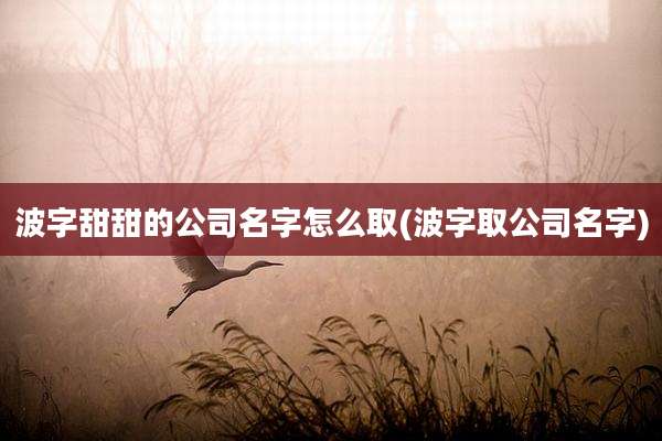 波字甜甜的公司名字怎么取(波字取公司名字)