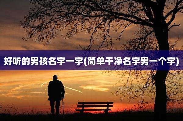 好听的男孩名字一字(简单干净名字男一个字)